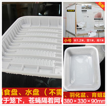 Fly breeding full set of supplies Breeding cage breeding cage Maggot breeding equipment