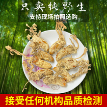 Cicada flower wild Chinese herbal medicine Bamboo forest new premium Zhizi flower can be powdered wine cordyceps powder 250g