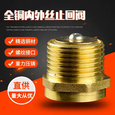 Check valve 1 inch inner and outer wire water pump special check valve thickened household check valve anti-backflow spring water stop valve