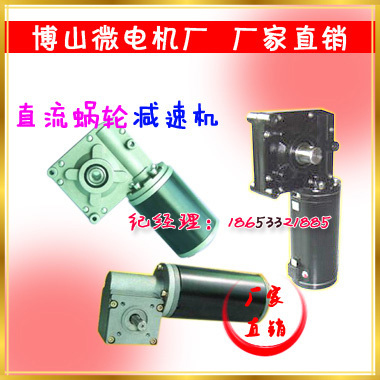 Boshan Micro Motor DC Worm Gear Reducer DC Motor