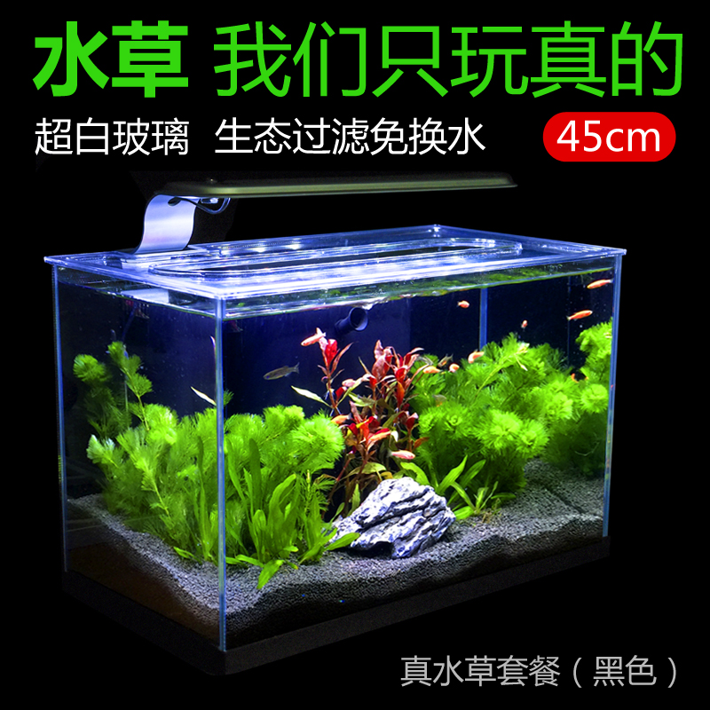 Rice bear Golden Crystal super white glass fish tank grass tank sea coral landscape water free water table table small living room aquarium