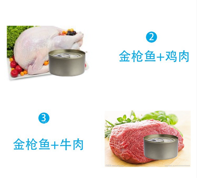 Mèo xuất khẩu đóng hộp 170g mèo ướt thức ăn cho mèo Đồ ăn nhẹ thịt cá ngừ trắng Đóng gói mèo Ưu đãi đặc biệt tăng vọt - Đồ ăn nhẹ cho mèo