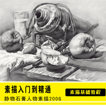 Sketch course zero basic learning to draw art electronic teaching video tutorial painting portrait sketch online course full set