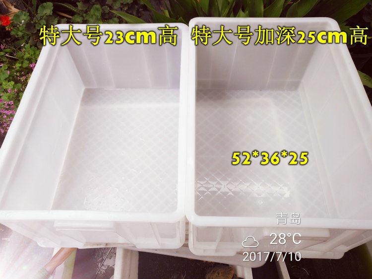 extra large plastic fish tank