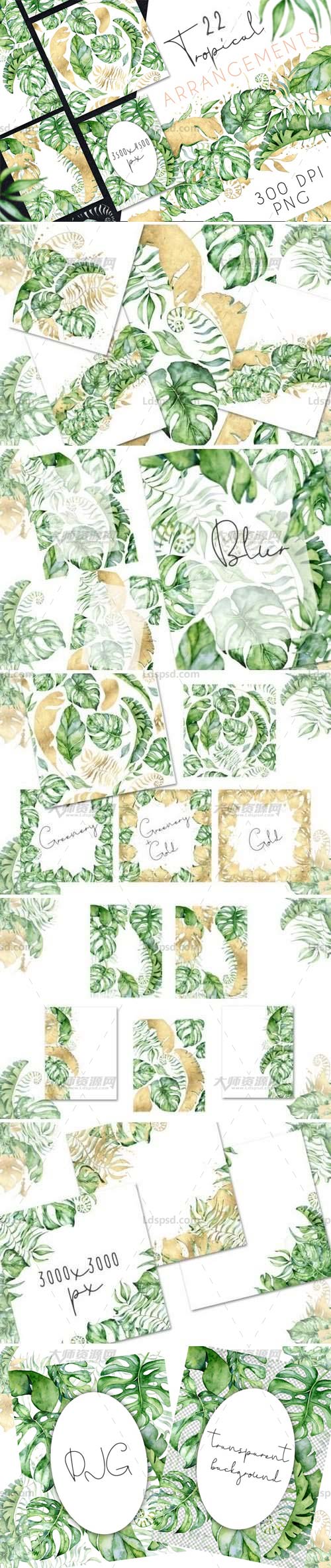 22张高清透明的北欧水彩风热带植物图片：Tropical Arrangements watercolor jungle clipart