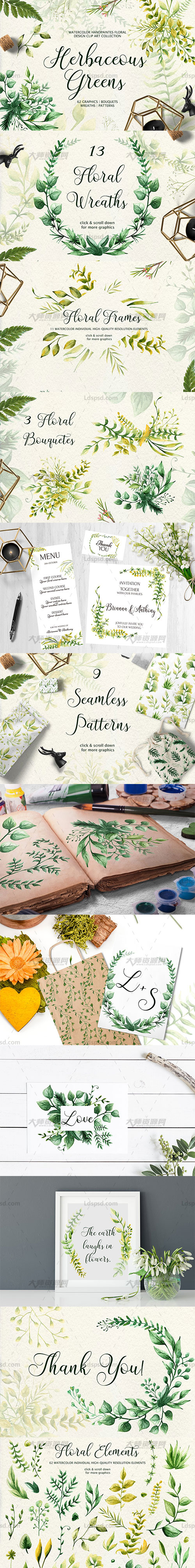 62张高清透明的北欧风水彩草本叶子PNG图片：Herbaceous Greens-watercolor set