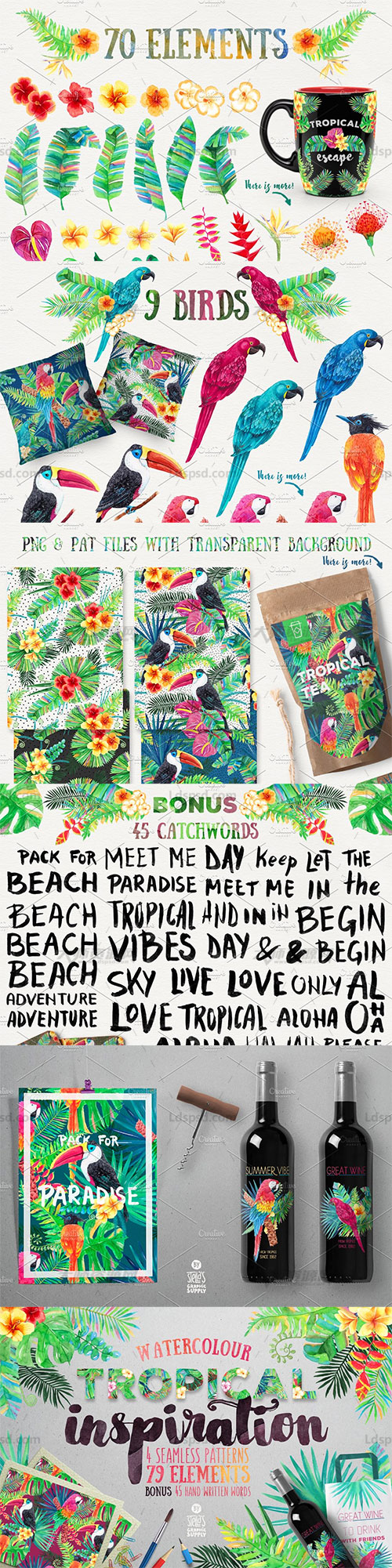 79张高清透明的北欧热带植物/动物图片：Tropical Inspiration