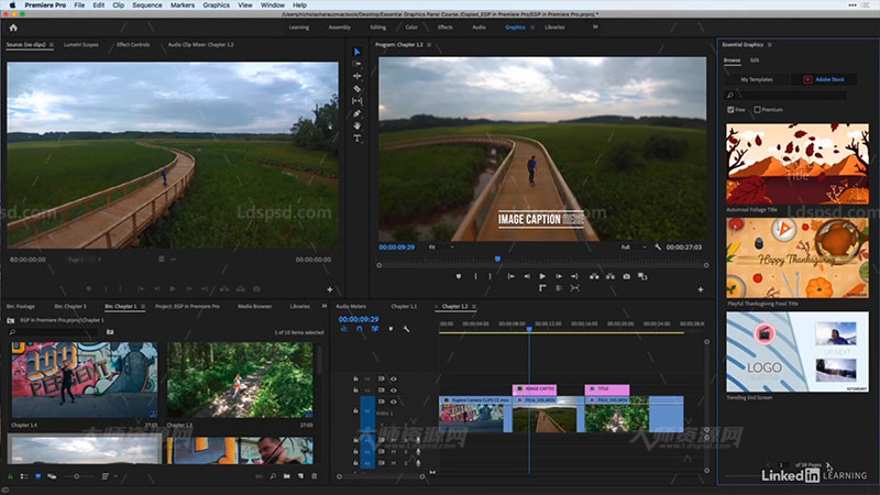 Creating Titles in Premiere with the Essential Gra.jpg