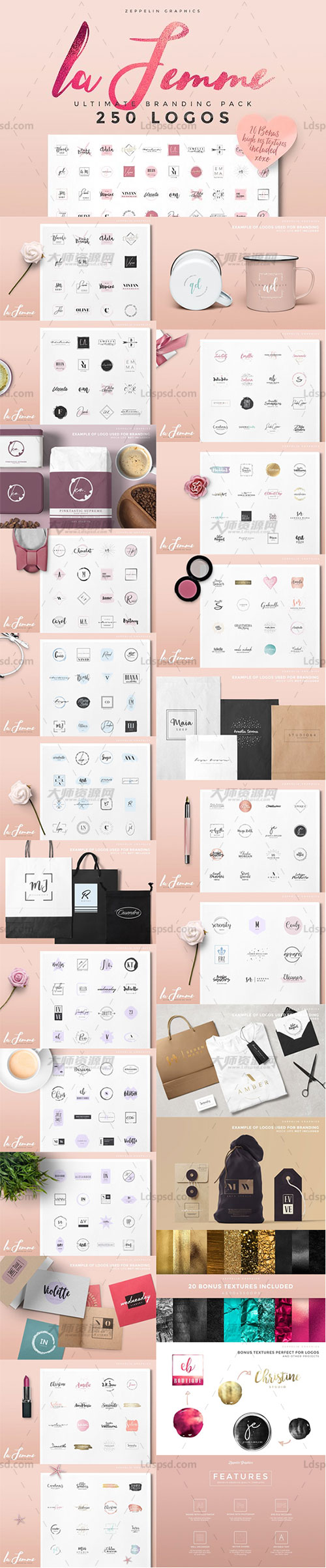 250 Feminine Logo Branding Pack,250个女性产品类标志(含视频教程/纹理图/AI|PSD|EPS三种格式)