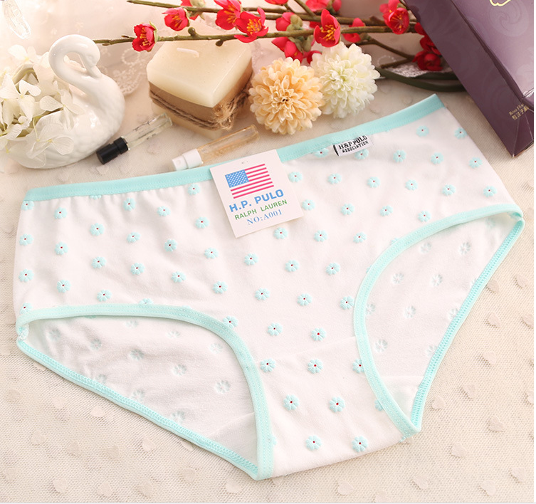 Slip jeunesse A001 Kogiku en coton - Ref 652518 Image 21