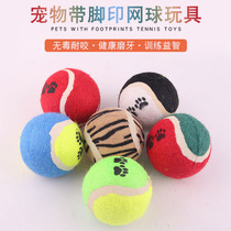 Pet Dog Dog Toy Tennis Teddy Bagothic Cockpit small and medium-sized dog resistant to grinding tooth-like spherical toy