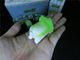 Genuine vegetable elf dodowo, the world of cabbage dog, Internet celebrity hand-held office boy, small paicai series birthday gift