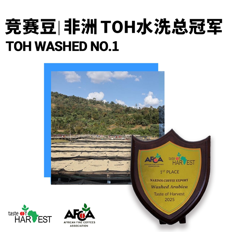 Summer Shopping Flavor Collection | Competition Grade African Toh Washed Championship Coffee Beans Summer Shopping Flavor Collection | Competition Grade African Toh Washed Championship Coffee Beans