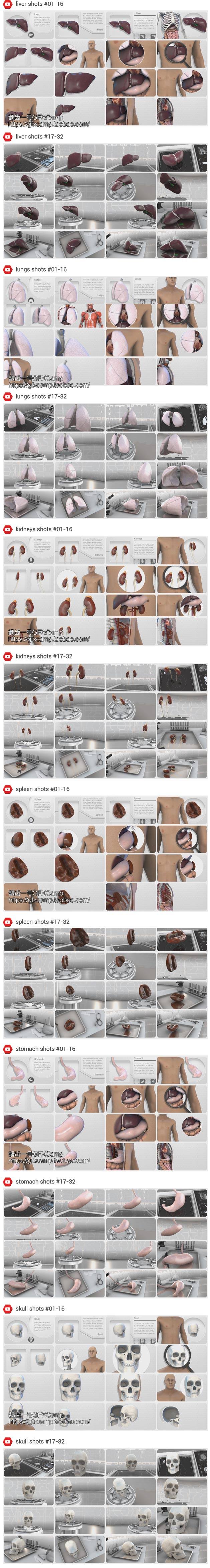 AE模板-E3D三维人体解剖模型医疗医学展示动画