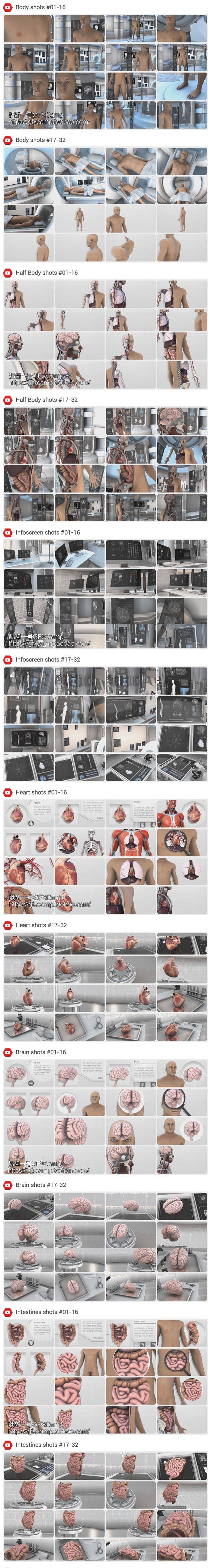 AE模板-E3D三维人体解剖模型医疗医学展示动画