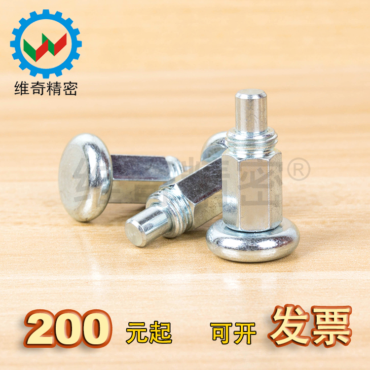 Different Bolt Castle - Free Start - Windows Standard Split Bolt 30 4mm M10 Steel Galvanized