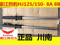 Haojiang original motorcycle parts HJ125-8A 2A Leopard HJ150-8B front shock absorber front shock absorber front fork