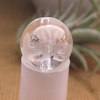 Серый сингл Близнецов