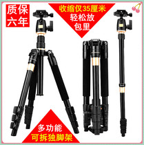 Canon SLR camera tripod EOS professional RP 80D portable 200D2 folding bracket monopod M6 Photography