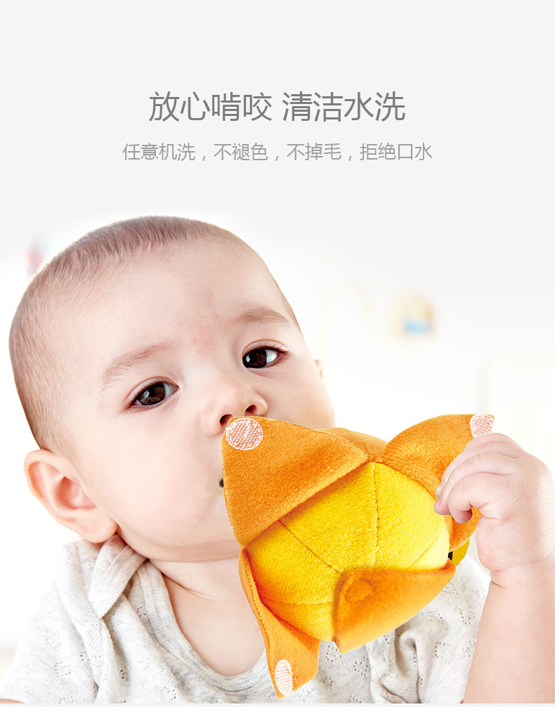 E3167-69 Fruit and Entable Food_12.jpg