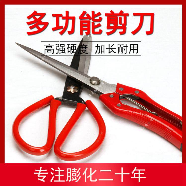 Lengthening scissors Special scissors for flour pulverizing machine Ordinary scissors Spring scissors (be careful of injury)