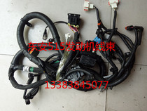 BAIC Weiwan 306M20 M30 engine wiring harness Dongan engine wiring harness M20 engine wiring harness