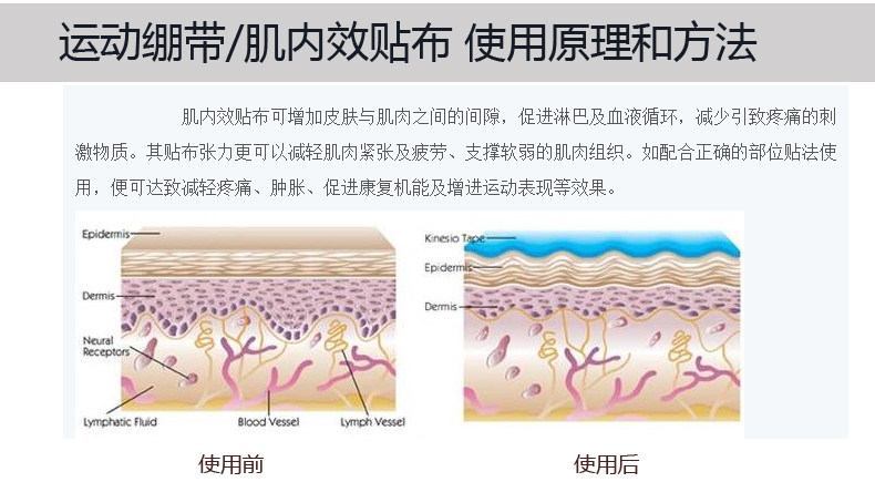 Protection sport - Ref 586443 Image 16