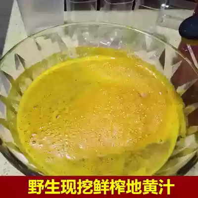 Wild freshly squeezed fresh raw ground juice now digging fresh Rehmannia juice fresh glutinosa juice one bottle 250 grams full 2 bottles