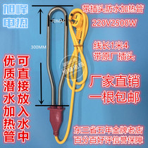 Bath Tub Tub bucket waterproof electric heating tube diving stainless steel heating tube with plug hot fast 220V2500W
