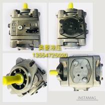 German Rexroth gear oil pump PGH4-30 032RE11VU2 PGH4-30 040RE11VU2 spot