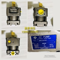 Japan Sumitomo Oil Pump QT32-10F-ZQT32-12 5f-zqtt32-16f-a Z injection molding machine oil pump