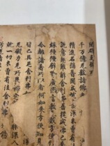 (Antique calligraphy and painting) Dunhuang posthumous manuscripts and fragments of ancient manuscripts with small regular script calligraphy (giclee)