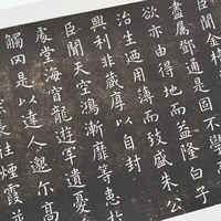 Unlaxed Brait Core (отправлено в течение 1 дня)