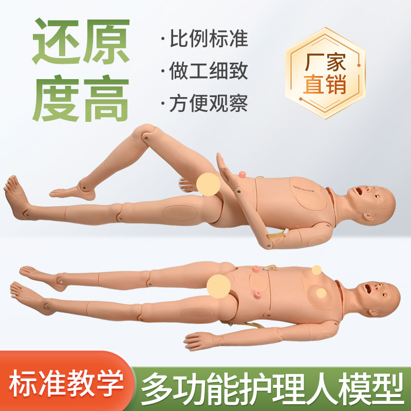 高级男女性护理人体模型 灌肠 插尿管 医学导尿技能操作护理模特