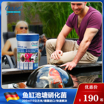 German Eurasian nitrifying bacteria fish tank digestion bacteria Outdoor Koi fish pond purification agent Water quality water purification powder