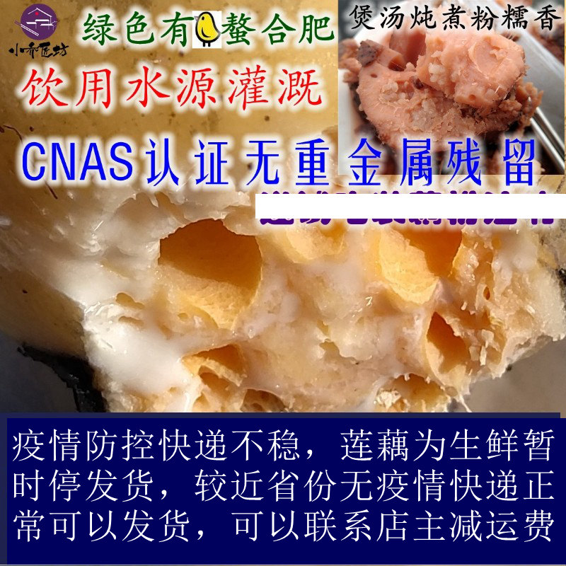 Xiao Qiao's beauty red pink lotus root drinking water source irrigation non-pollution areas with chicken chelate fertilizer whole lotus root 5 catties