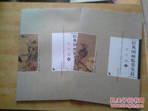 Practical Techniques of Copying Classical Chinese Paintings: Flowers and Birds 1 2 2 volumes (8 open) (@ (Photo)