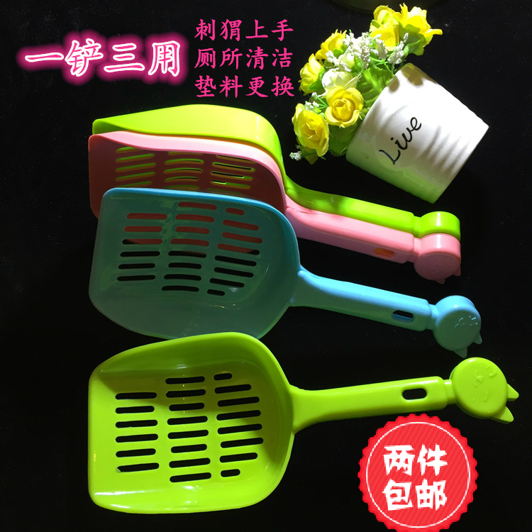 African mini hedgehog on hand to shovel pet toilet clean ten toilet cat poop poo poo the cat litter cat food shovel