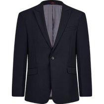 (Including wool) Qipai suit mens 2024 autumn and winter new model lapel collar business gentleman suit dress