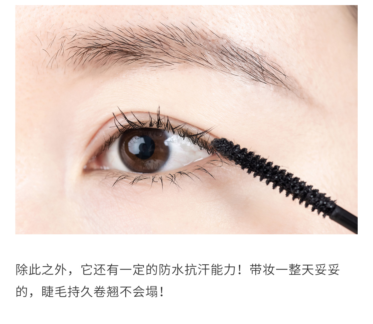 Một chiếc bàn chải cuộn dây hình tròn uốn cong không di chuyển lông mi, nền cuộn, không thấm nước, không thấm nước, cả ngày không phải là tiếng nổ cây chuốt mi