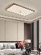 Modern New Chinese-Style Led Ceiling Light with Chinese Zen Aesthetics from the Song Dynasty, Full-Spectrum Main Light for Dining Room, Bedroom, and Living Room