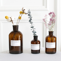 Fengyin Nordic small brown bottle retro transparent glass vase hydroponic flowers home furnishings shooting props