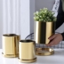 Bình gốm sứ mạ điện với khay cắm hoa tròn bình hoa Bắc Âu trang trí phòng cưới trang trí bình vàng không có lỗ chậu - Vase / Bồn hoa & Kệ giỏ treo hoa ban công Vase / Bồn hoa & Kệ
