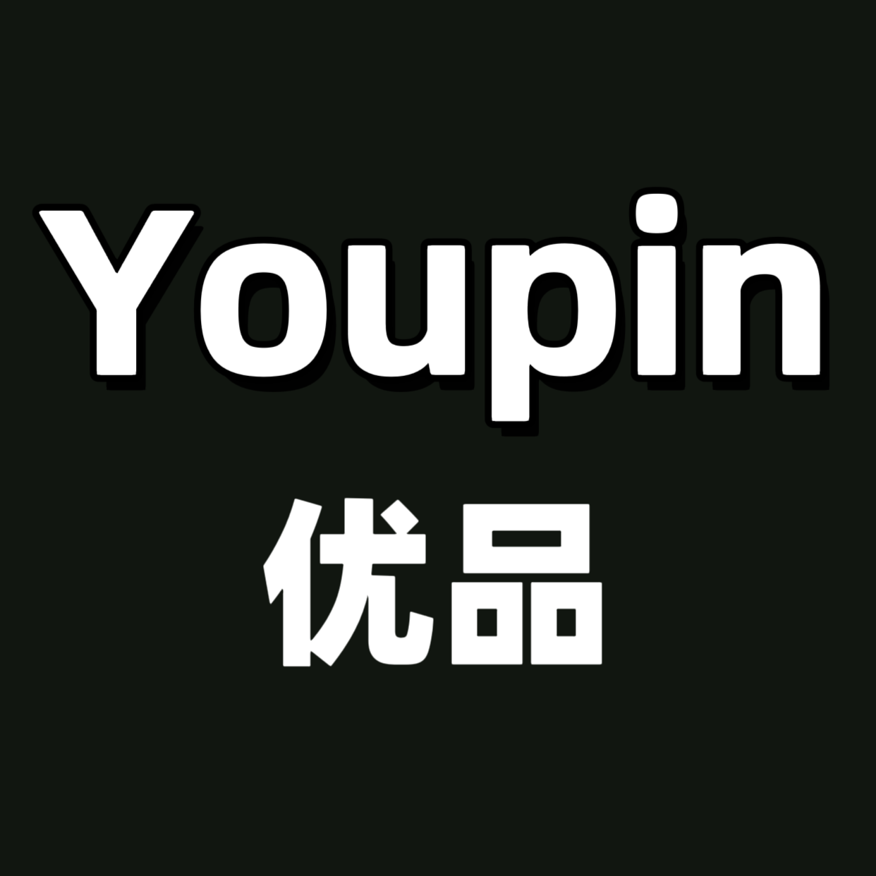 Youpin易购直销店