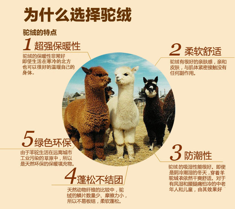 Pantalon collant jeunesse en coton - Ref 774732 Image 46