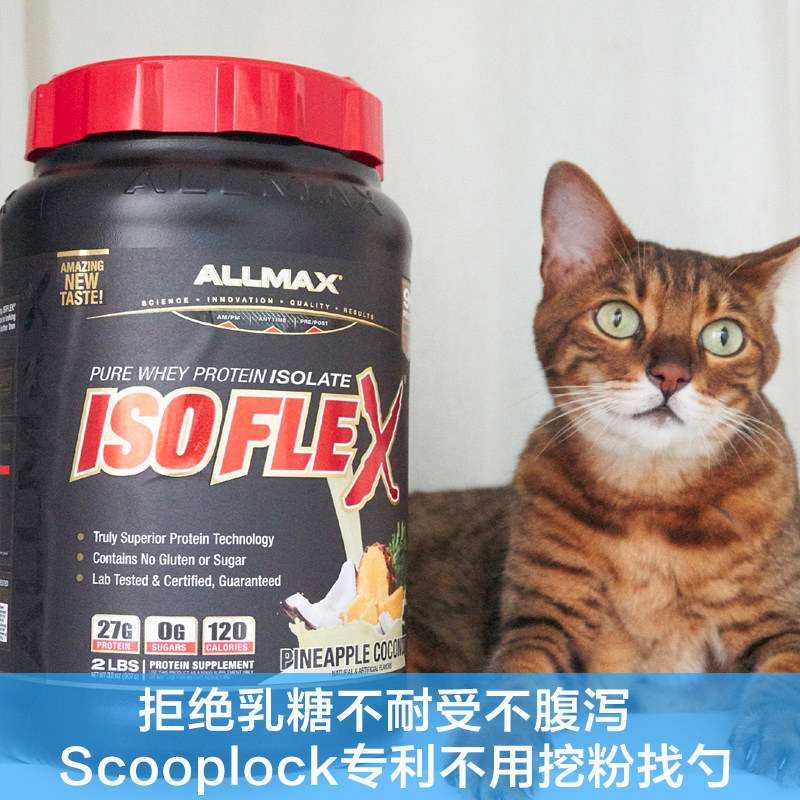 innotek sd 2000 collar