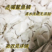 Hong Kongs red-billed garfish scales are a good helper for soothing and soothing the throat when coughing