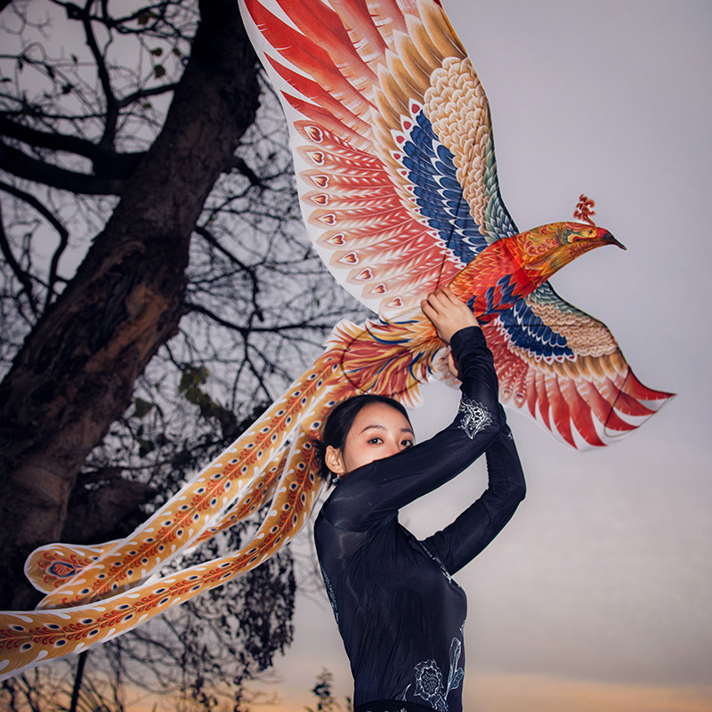 王氏の手作り鳳凰無形文化遺産紙凧飾り、濰坊伝統砂燕プロフレーム大型