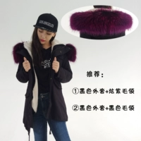 Фиолетовый черный+фиолетовый воротник