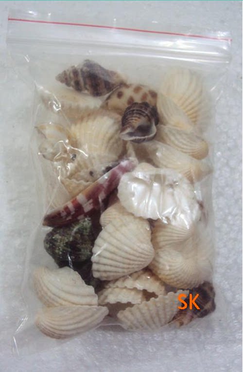 Bougie - Ref 2486958 Image 9